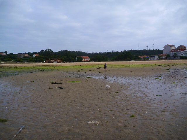 marée basse